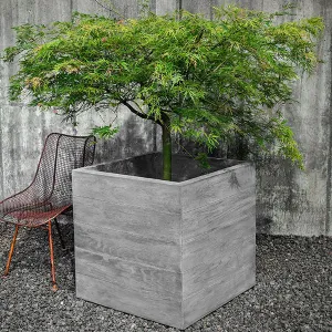 Chenes Brut Box Planter Campania International