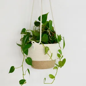 Mia Melange - Medium Hanging Planter
