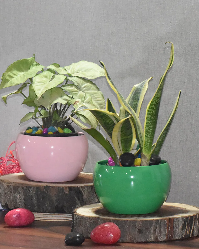 Sleek Desktop Planters Combo Without Plants | Pack of 2 | 5 x 5 inches